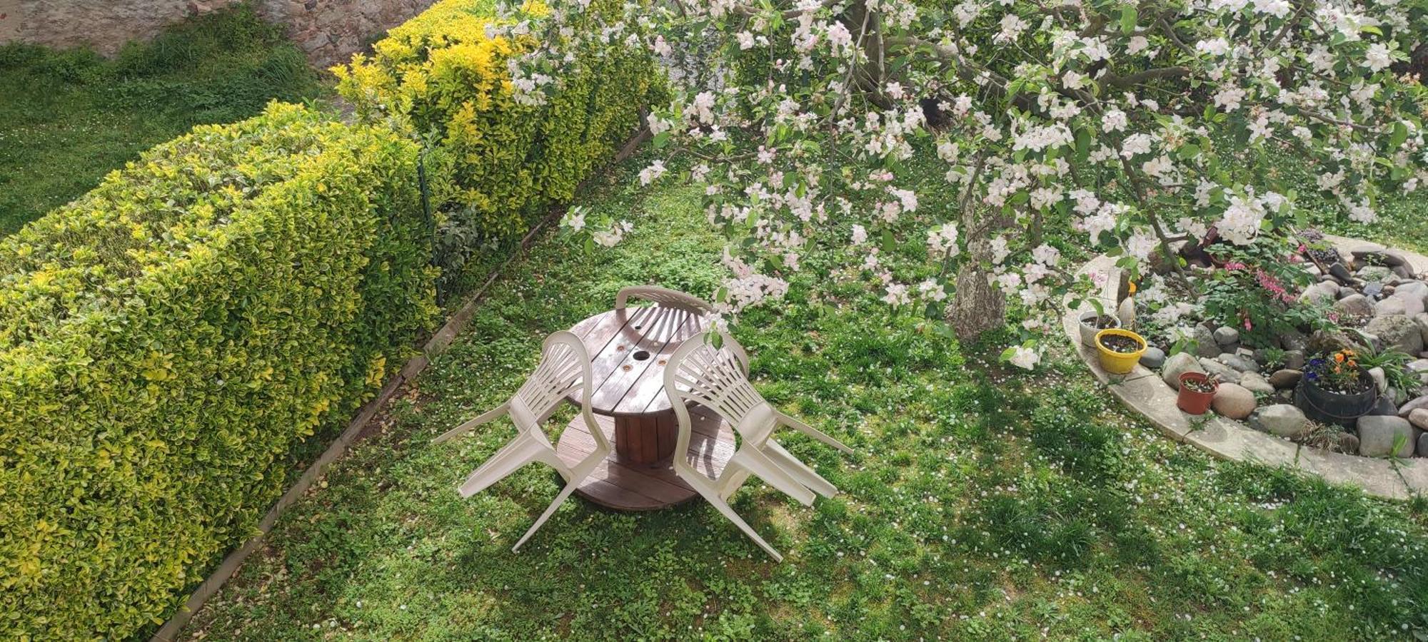 La Maison Du Pecheur Livinhac-le-Haut エクステリア 写真